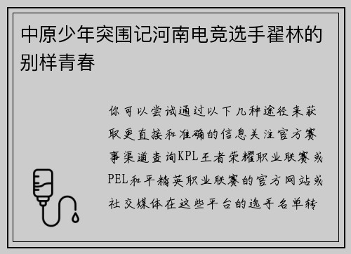 中原少年突围记河南电竞选手翟林的别样青春